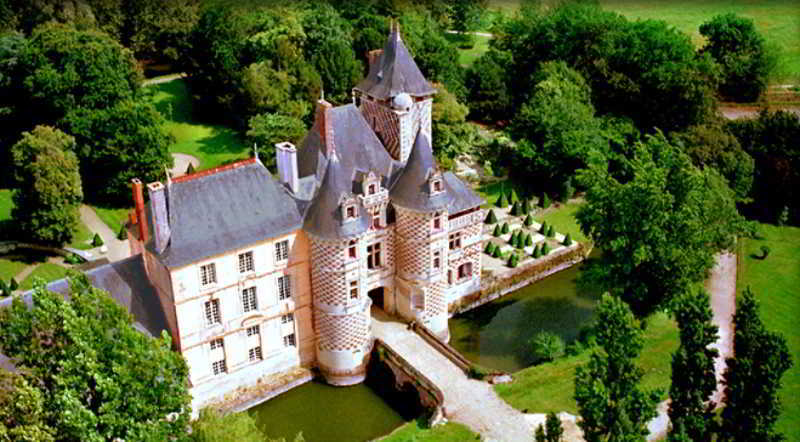 Chateau Des Reaux Chouze-sur-Loire Bagian luar foto